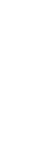 まずは カンパイ。